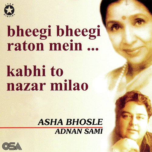 Mehndi Masala by Adnan Sami, Asha Bhosle - MP3 Song Pagalworld.love