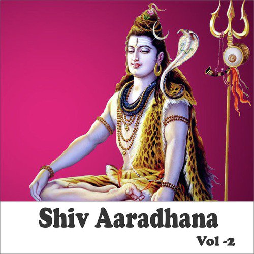 Shiv Shankar Ko Jisne Pooja by Anuradha Paudwal - MP3 Song Pagalworld.love