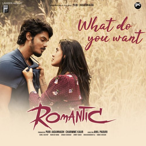 Peene Ke Baad by Sunil Kashyap - MP3 Song Pagalworld.love