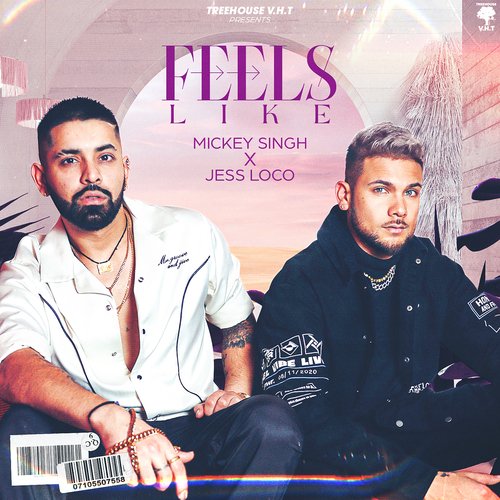 Feels Like by Mickey Singh, Jess Loco - MP3 Song Pagalworld.love