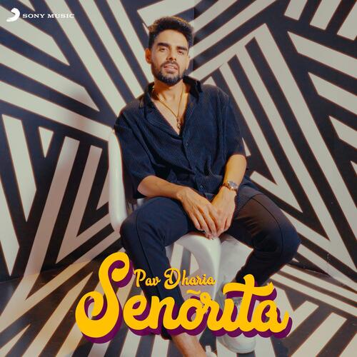 Senorita by Pav Dharia - MP3 Song Pagalworld.love