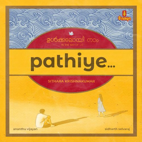 Pathiye by Ananthu Vijayan - MP3 Song Pagalworld.love