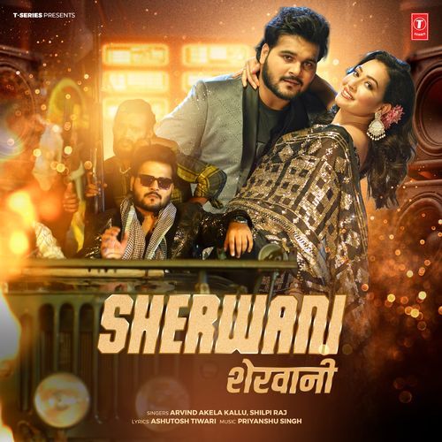 Sherwani by Arvind Akela Kallu - MP3 Song Pagalworld.love