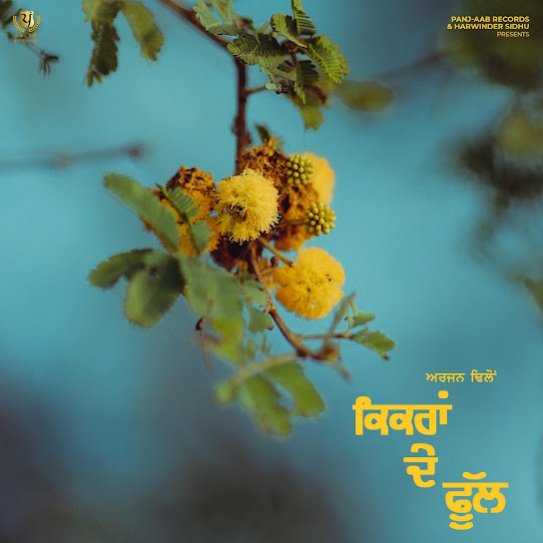 Kikran De Phull by Arjan Dhillon - MP3 Song Pagalworld.love