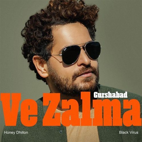 Meri Nai by Gurshabad - MP3 Song Pagalworld.love