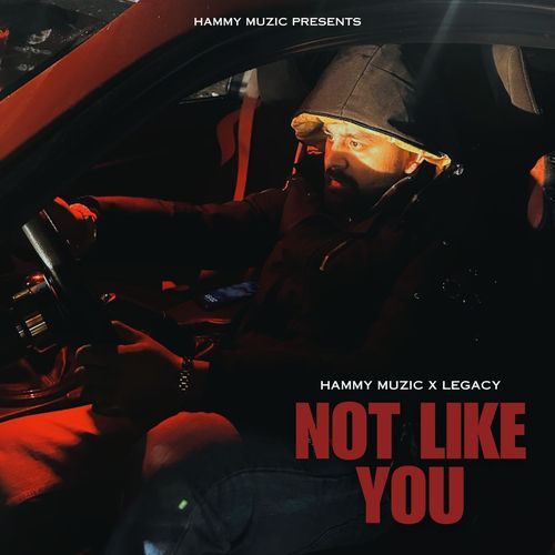 Not Like You by Hammy Muzic - MP3 Song Pagalworld.love